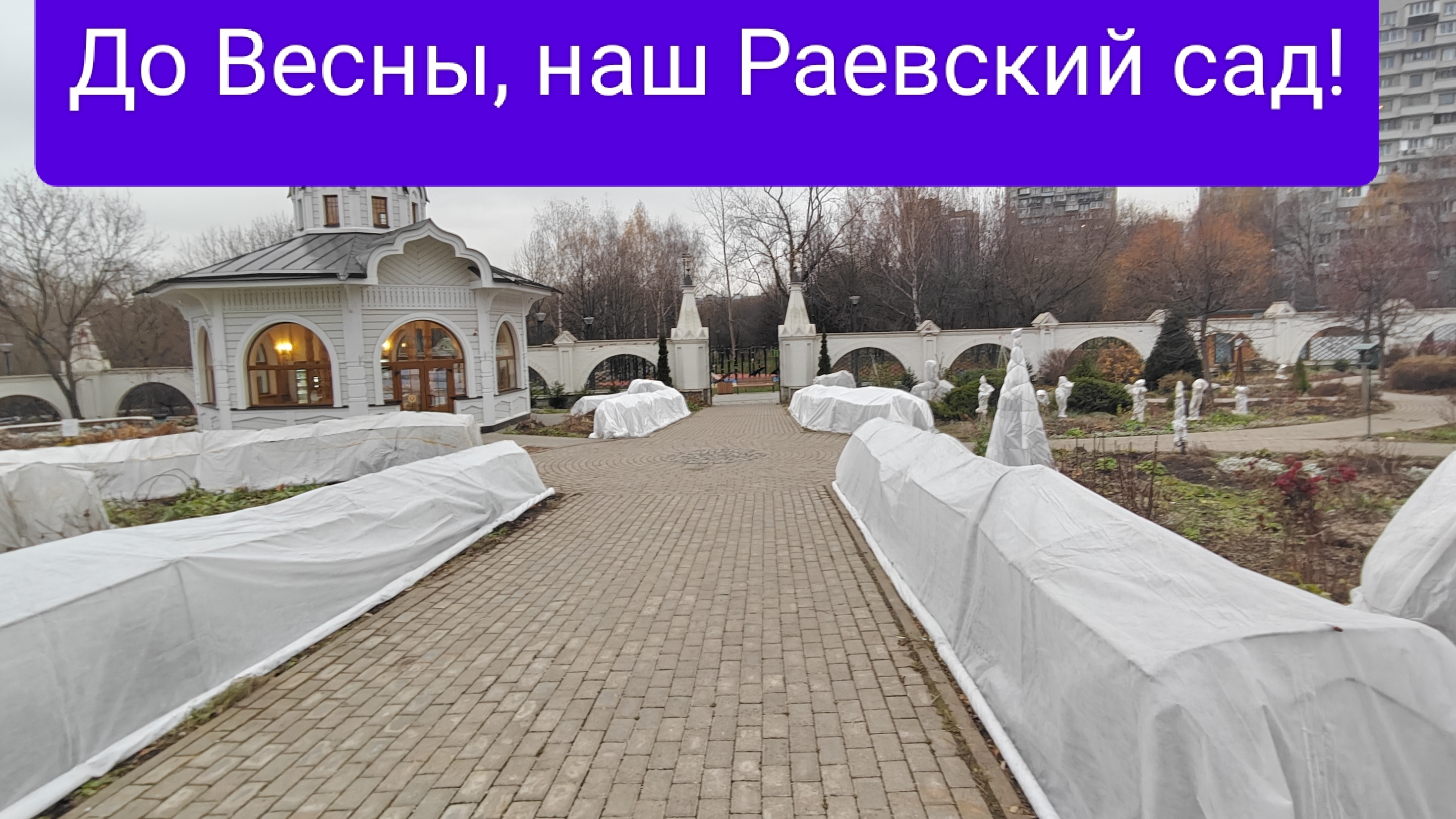 Закрытие сезона -2024 в Раевском саду.