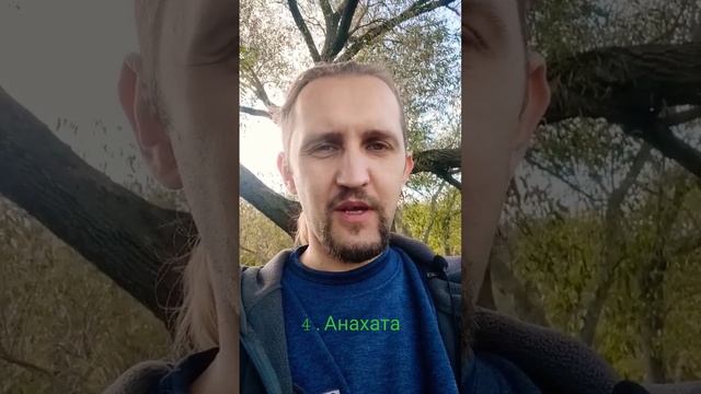 Как чакры в теле проецируются? ;) Многомерная анатомия.