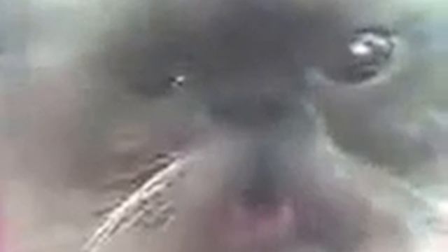 Продолжение сравнения)))