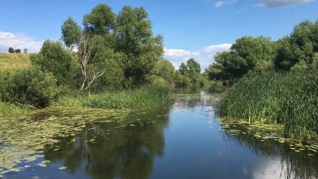 Паёвские пейзажи