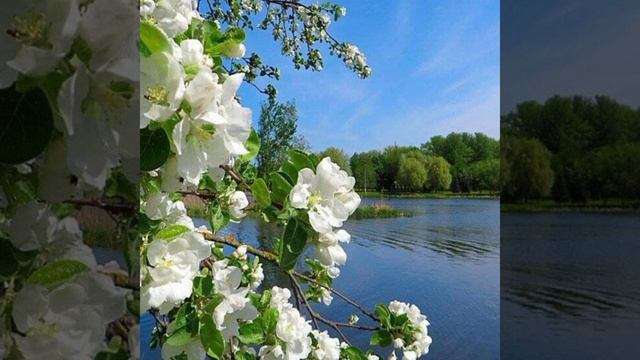 Пётр Ильич Чайковский весна (май)