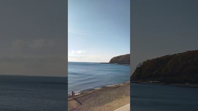 ДЖУБГА Центральный пляж 12.11.2024