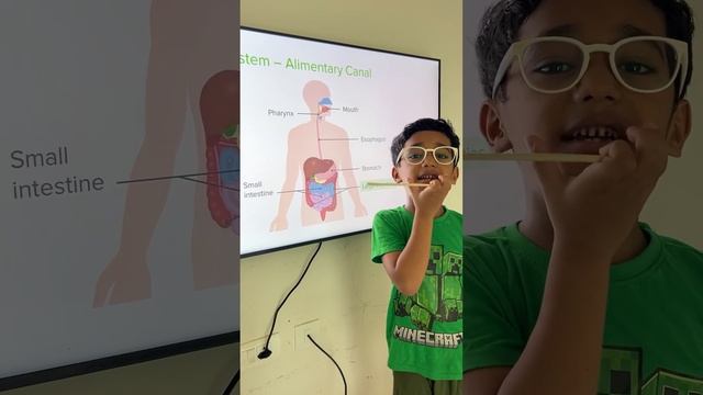 #kids #digestivesystem #science #learning