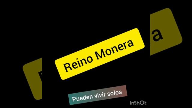 Características del Reino Monera