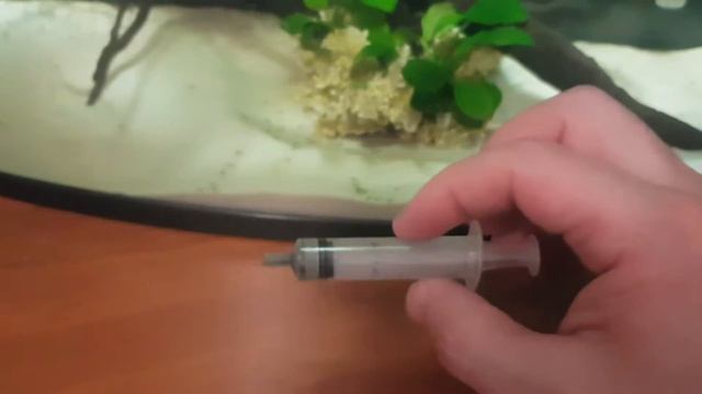 Кормлю мальков через шпритц .