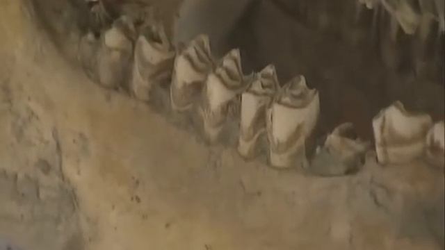 ЗЕМЛЯ ДО НАШЕЙ ЭРЫ.Ученые наконец то рассказали,что было 1,5 млрд лет назад,в это не хочется верить