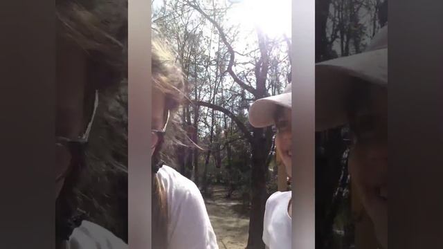 телефон антивандальный тест-драйв не прошел