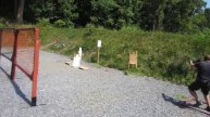 WSPS August 2017 USPSA Stage 3 Sig MPX