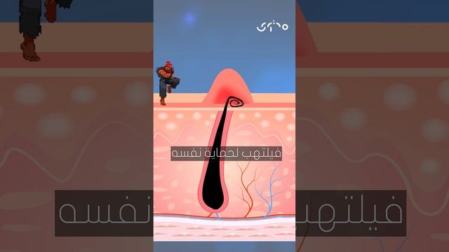 متى ينمو الشعر تحت الجلد؟ وكيف نتجنّب ذلك؟ #بدقيقة مع #رافي_جروج على #محتوى @raffijarrouj