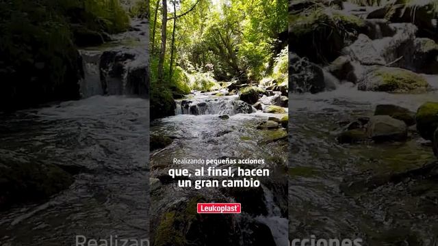 Cuida al planeta con Leukoplast® eco