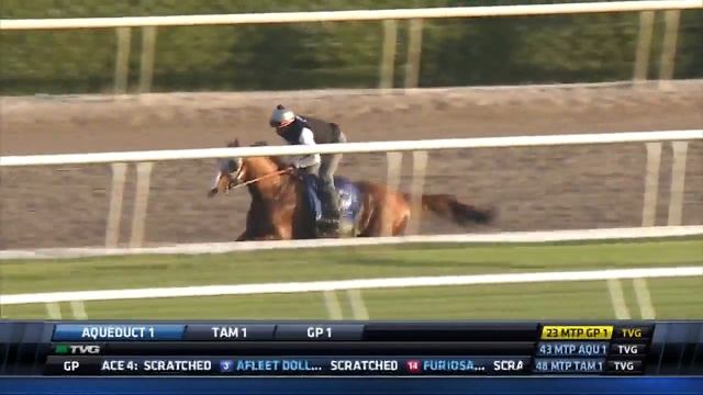 WORKOUT/ANALYSIS: California Chrome (1/14/17)