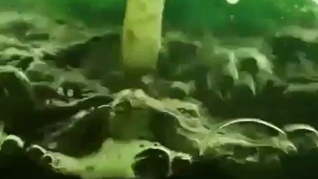 Вся правда о витаминах Орифлэйм