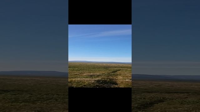 Сезон 15 серия 37 Эвакуатор