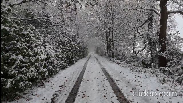 Безумие любви (окончательная версия)