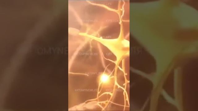 Хемохим иммуномодуляр
