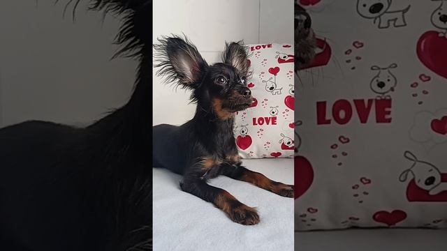 1000029549.mp4