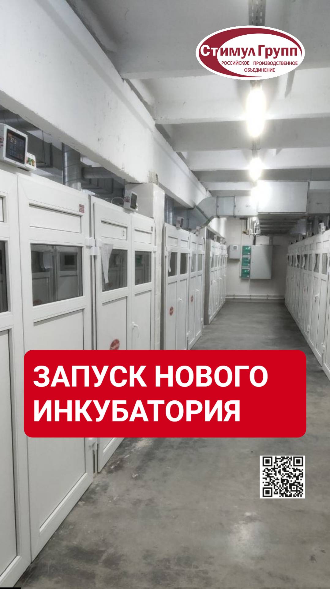 #Инкубаторы от Стимул Инк - ЗАПУСК НОВОГО ИНКУБАТОРИЯ
#incubator #hatchery #инкубатор_для_яиц