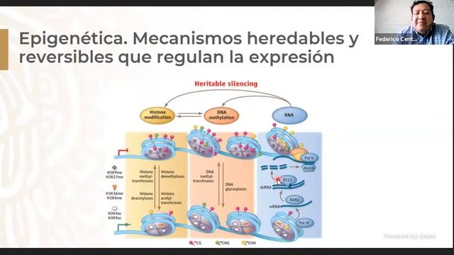 "Regulación de la transcripción" Dr. Federico Centeno