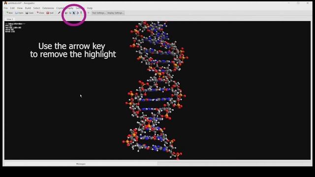 DNA STRUCTURE - Avogadro tutorial