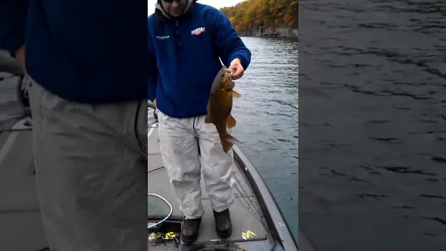 Bone Smallie
