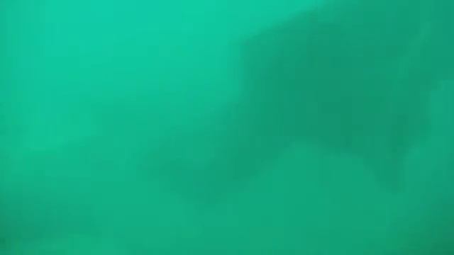 Dubai Scuba Dive