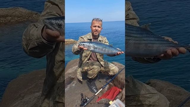 büyük kemikli torik avimiz.