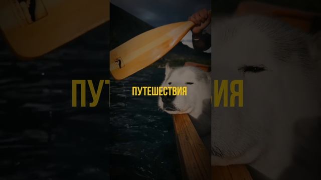 УДОВОЛЬСТВИЕ 🤤