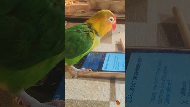 Snapchat-725857467.mp4