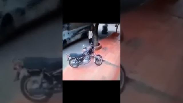 Хозяин вернулся 🥊