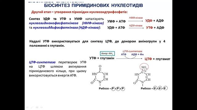 Крок 1 Біохімія. Метаболізм пуринових та піримідинових нуклеотидів
