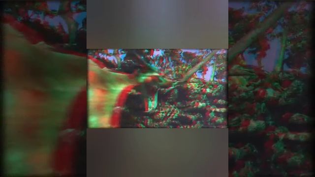 Мультик называется жизнь динозавра.