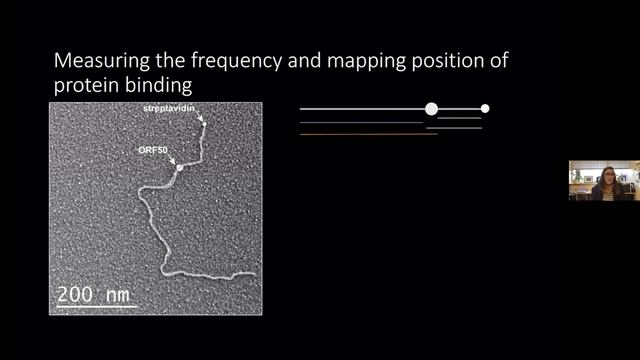 March 17 Visualizing Viral Replication of Oncogenic Herpesvirus