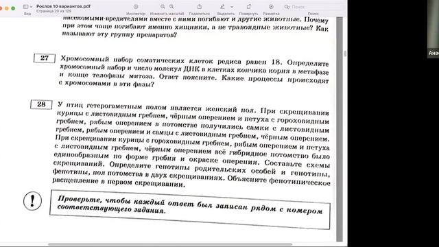 бактерии 11 3