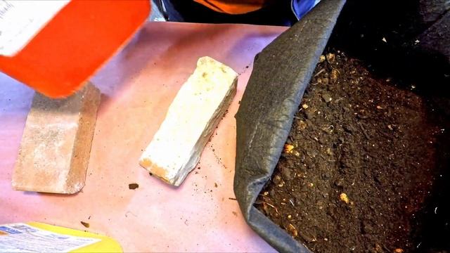Move out worms & harvest castings from compost barrel bag #1 - vermicompost