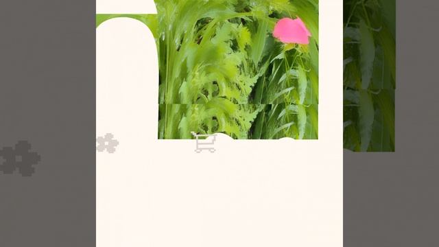 Flora / Fauna (Noah "Plonk" jones mix)