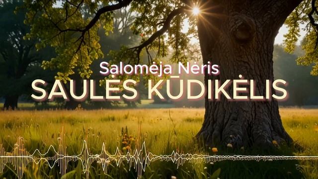 SAULĖS KŪDIKĖLIS (ДИТЯ СОЛНЦА) - Salomėja Nėris #suno #музыка #песня #music #новинка