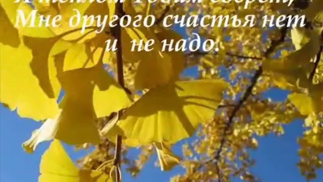 Изобильная Виноградная Лоза.avi