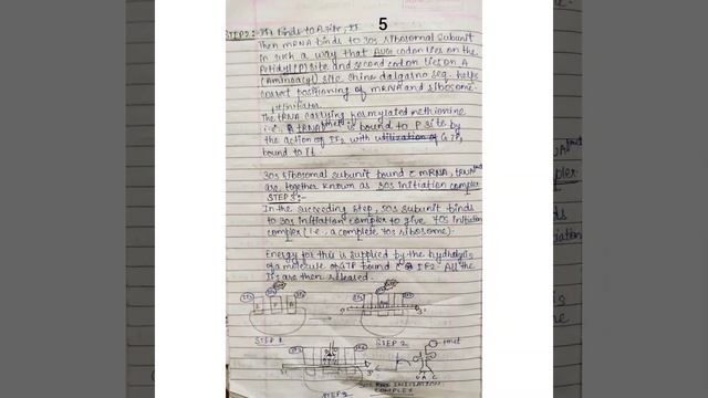 TRANSLATION IN PROKARYOTES