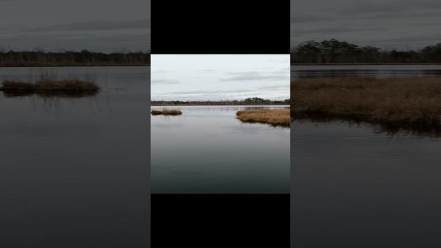 будем рыбу ловить 🎣