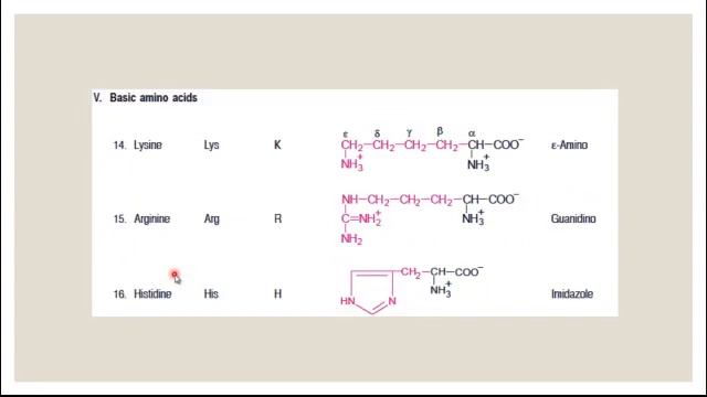 Amino acid Lec1