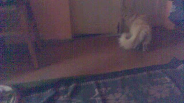 Видео043
