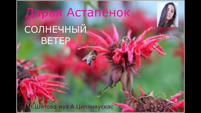 Солнечный ветер ( музыка А Циплияускас слова Н.Шитова исполняет Дарья Астапёнок)