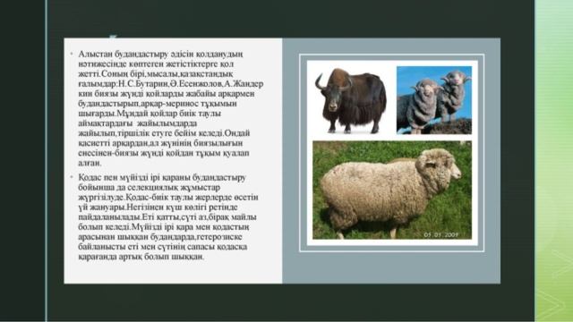 ҚАЗАҚСТАНДАҒЫ СЕЛЕКЦИЯ ЖЕТІСТІКТЕРІ.8-СЫНЫП. БИОЛОГИЯ