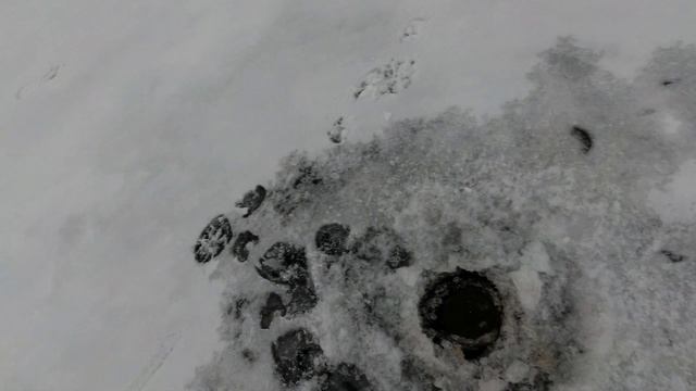 Щука на жерлицу