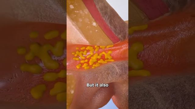 Not my vid