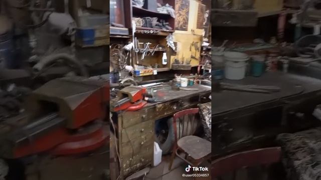 1000008736.mp4