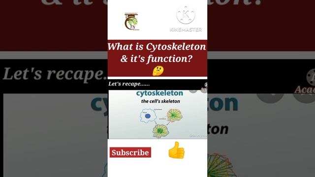 Cell Biology | What is Cytoskeleton & it's function? | Biology | Farha Noor
