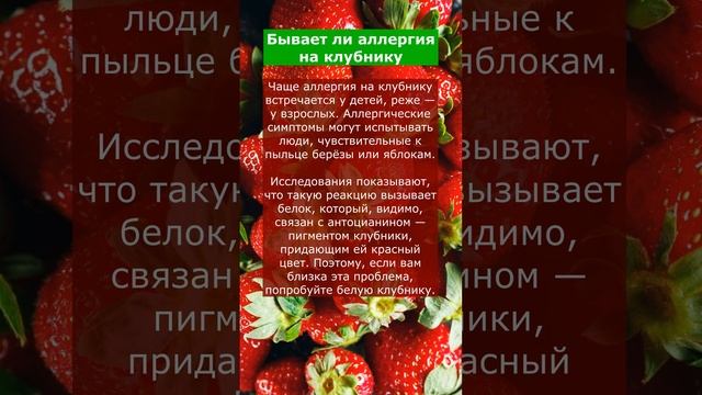Бывает ли аллергия на клубнику