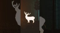 deer UE5