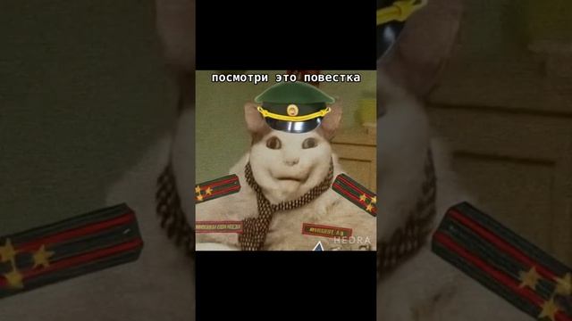 Бу! Испугался)